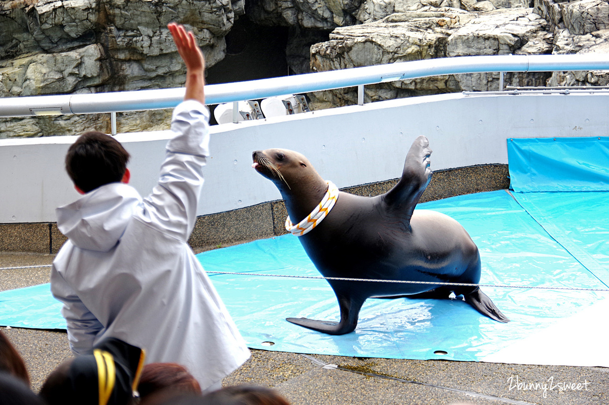 九州大分景點「大分海洋宮殿水族館 海之卵」超酷白色蛋形展覽廳 還能和海洋生物玩在一起 @兔兒毛毛姊妹花 九州大分景點「大分海洋宮殿水族館 海之卵」超酷白色蛋形展覽廳 還能和海洋生物玩在一起 @兔兒毛毛姊妹花