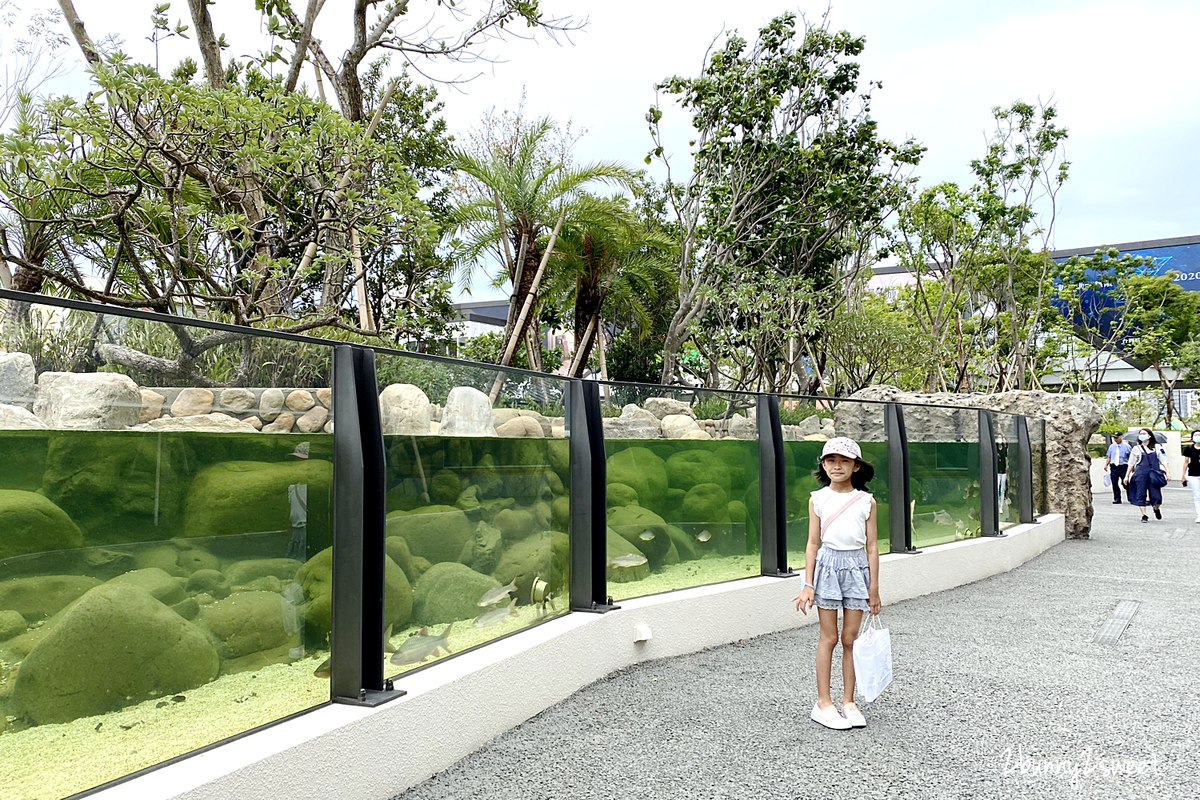 桃園景點【Xpark 水族館】日本橫濱八景島跨海打造全台首座都會型水生公園，13 大主題展區超吸睛 @兔兒毛毛姊妹花