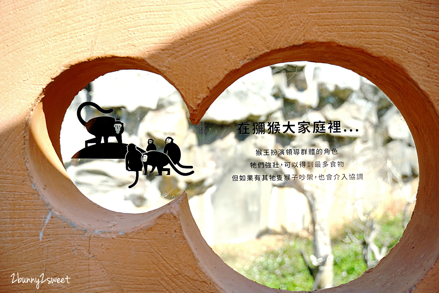 新竹景點【新竹市立動物園】全台最老動物園大變身，銅板價門票看動物、玩遊戲場 @兔兒毛毛姊妹花