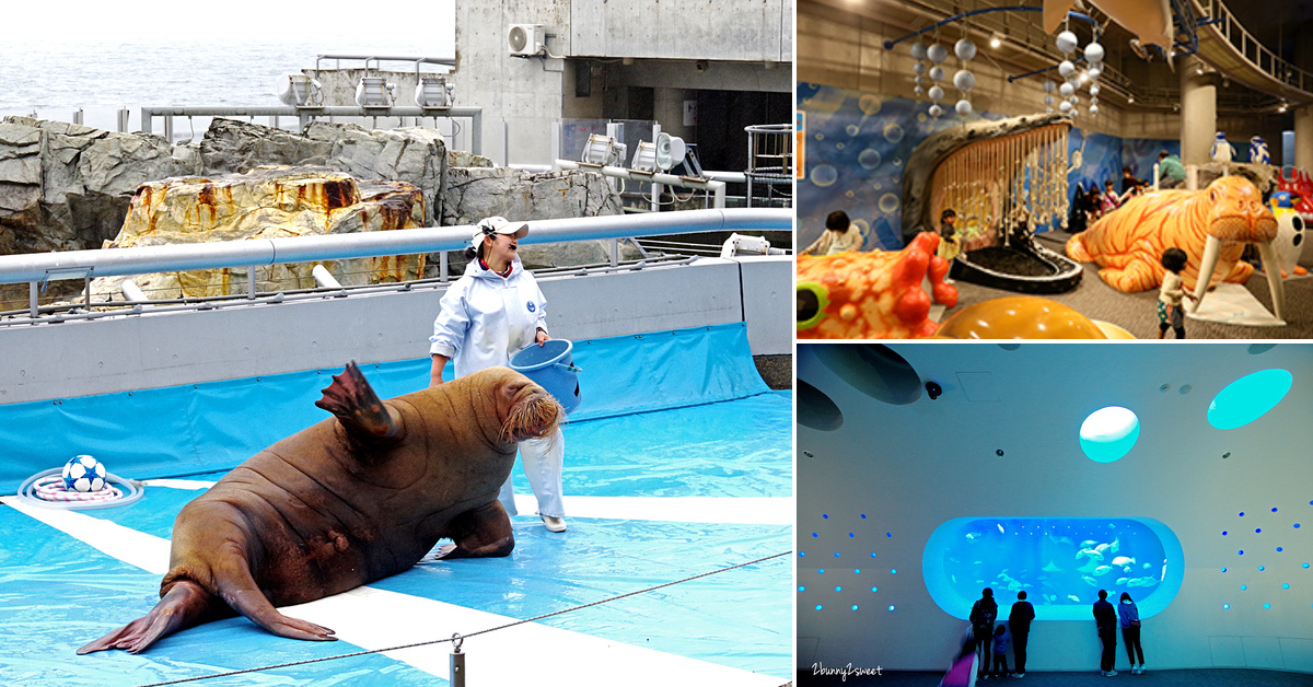 九州大分景點「大分海洋宮殿水族館 海之卵」超酷白色蛋形展覽廳 還能和海洋生物玩在一起 @兔兒毛毛姊妹花