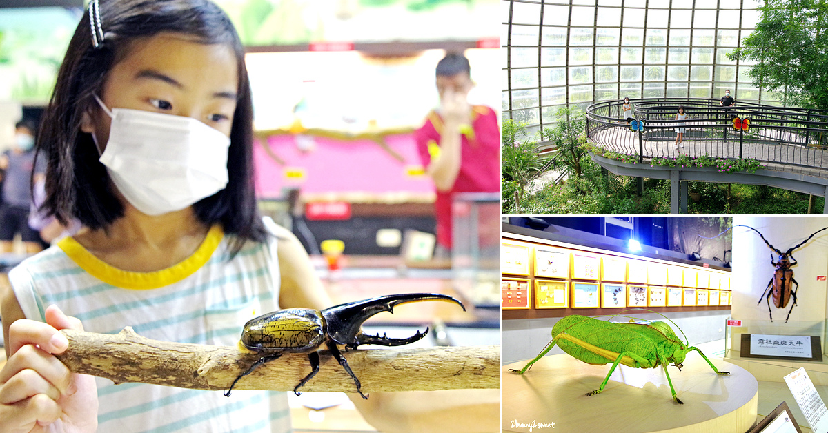 瓦次拉夫廣場 @兔兒毛毛姊妹花