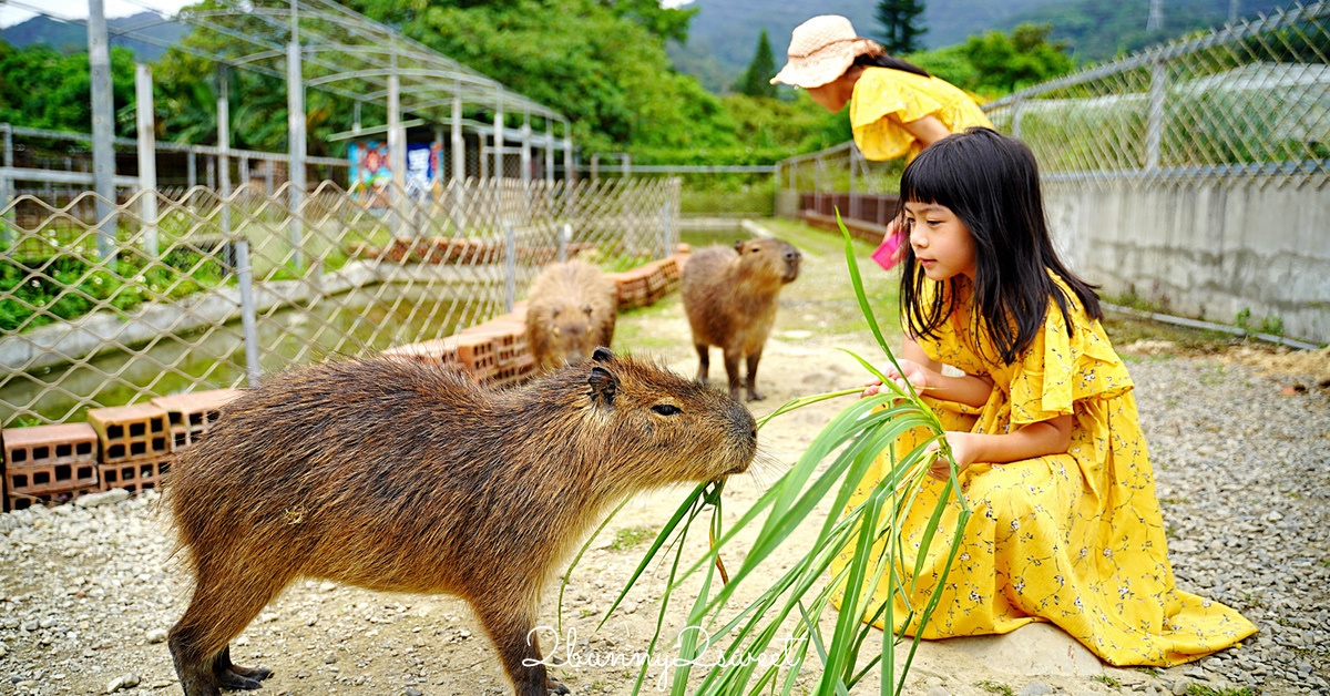 桃園親子景點推薦｜花鹿秘境李家摸蜆農場：餵動物、摸蜆、戲水一日玩透透 @兔兒毛毛姊妹花