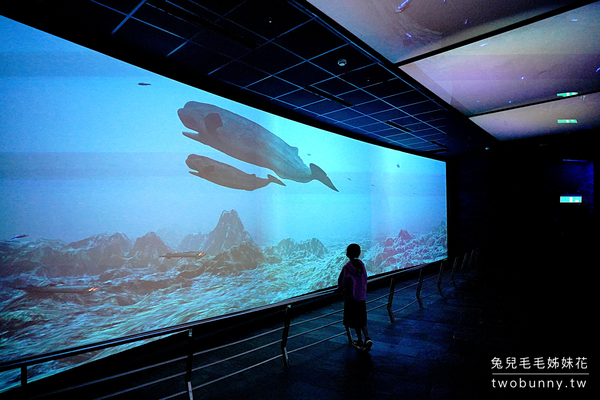 屏東親子景點》國立海洋生物博物館 海生館 2022 新亮點～一秒去北極的沈浸式極境漫遊、超時空探潛艇 @兔兒毛毛姊妹花