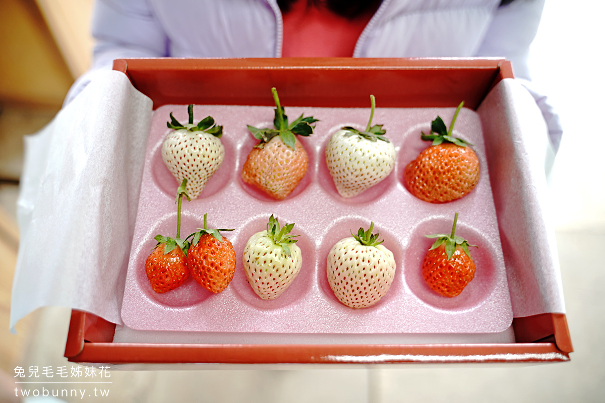 宜蘭親子景點》本事農莊～礁溪採草莓溫室農場，有機白草莓、有機水蜜桃草莓好香甜 @兔兒毛毛姊妹花