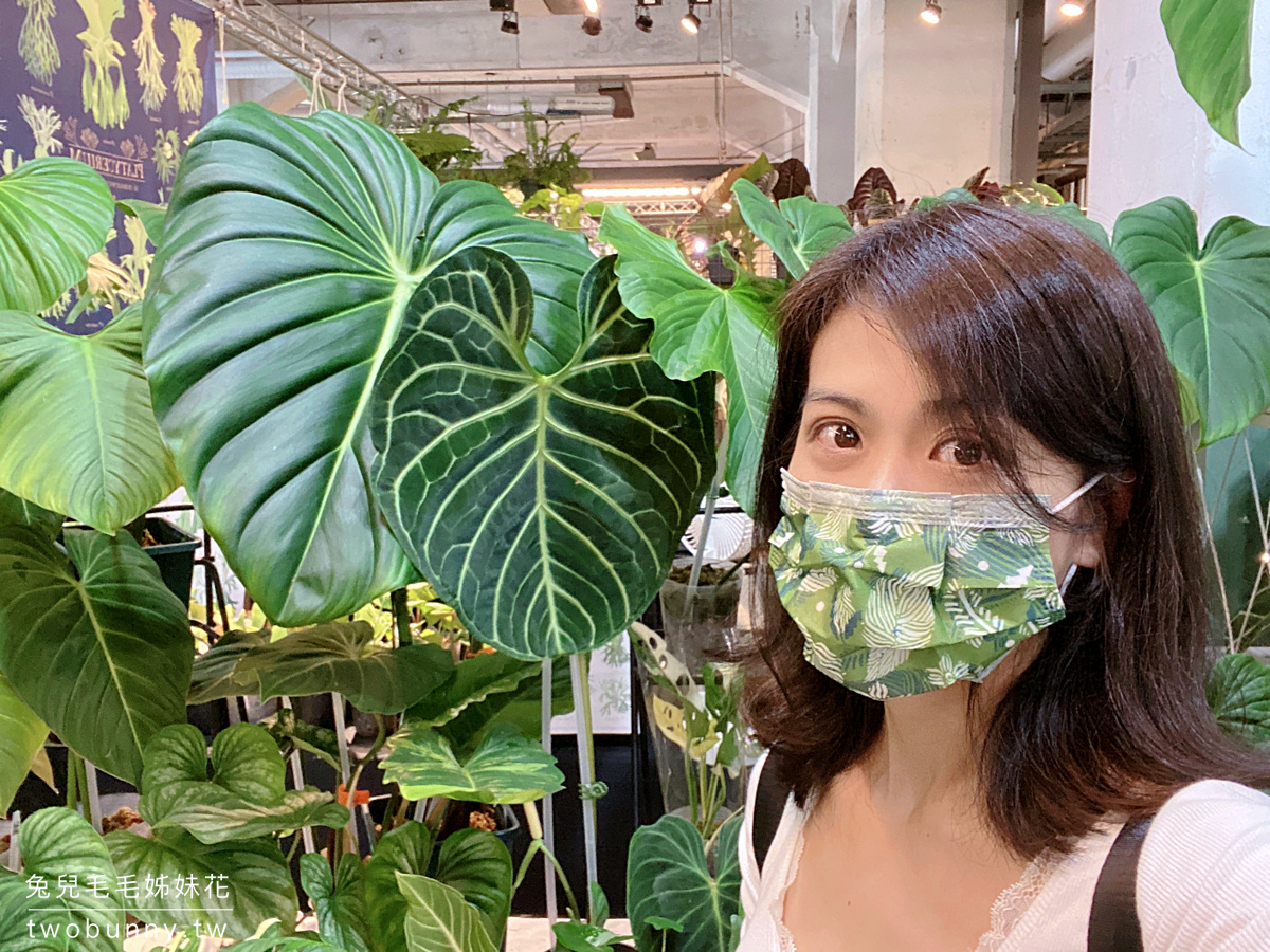 台北植物市集》台灣第一植物界 大型植物展覽市集，一次逛 60 家植物質感品牌 @兔兒毛毛姊妹花