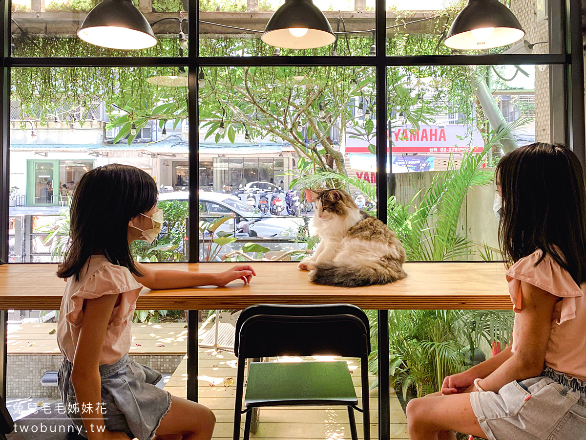 民生社區咖啡》小春日和 動物雜貨 ･ 珈琲~有貓咪坐檯的日雜風咖啡廳，餐點也有貓咪 @兔兒毛毛姊妹花