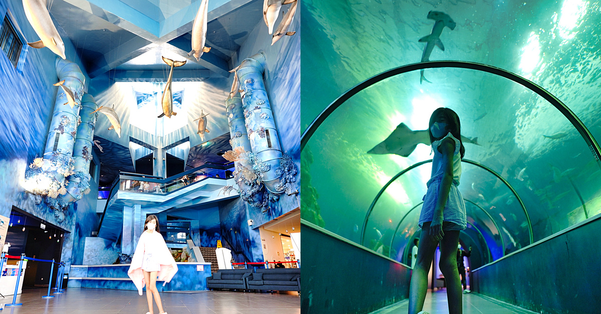 澎湖室內景點「澎湖水族館」海豚大廳、海底隧道、海星觸摸池～好玩又好拍!! @兔兒毛毛姊妹花