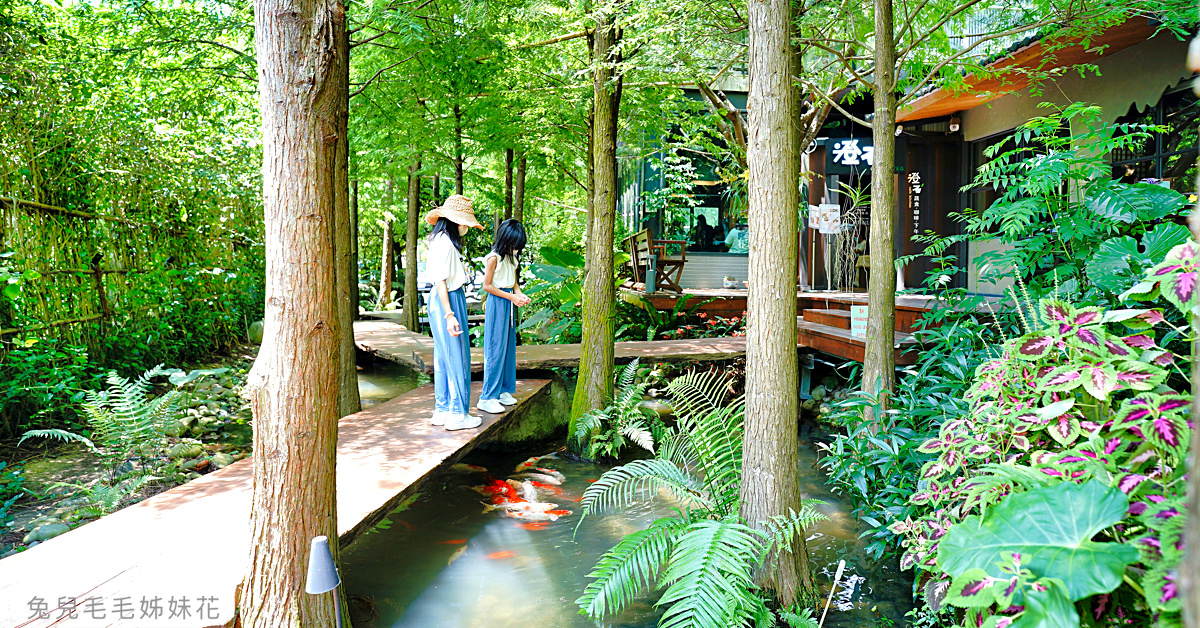 新竹親子餐廳》微迷野林咖啡廳竹北店～小動物陪喝咖啡，還能參加免費生態導覽