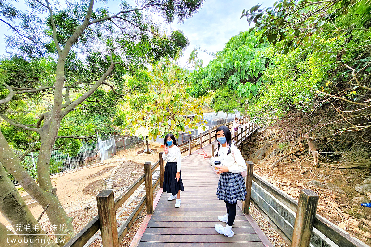 高雄親子景點》壽山動物園2.0~全新天空步道、觀察廊道，獼猴陪吃體驗太難忘 @兔兒毛毛姊妹花