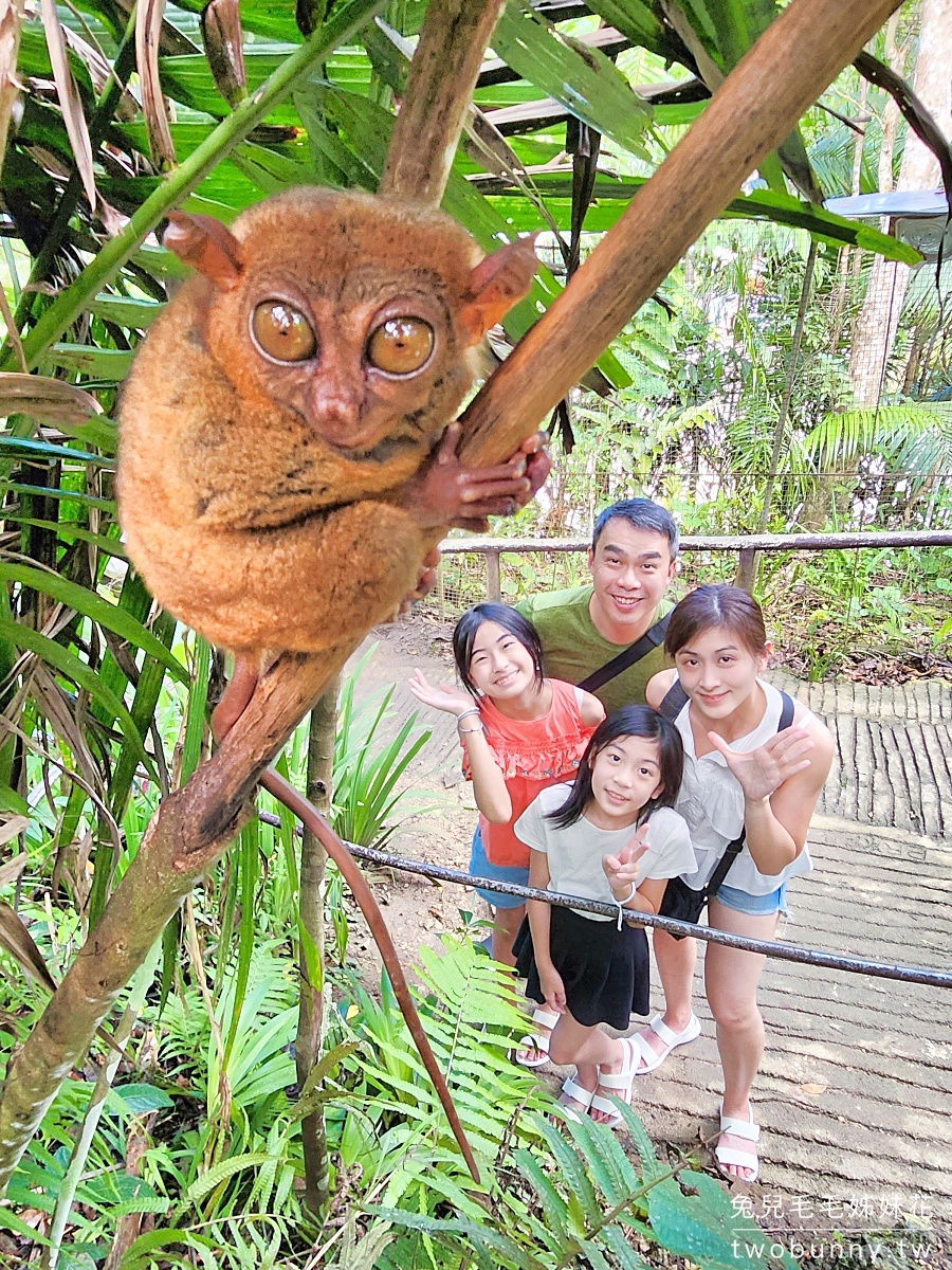 薄荷島景點》眼鏡猴保護區 Tarsier Conservation Area～來看菲律賓獨有、瀕臨絕種動物。順遊Bilar人造林 @兔兒毛毛姊妹花