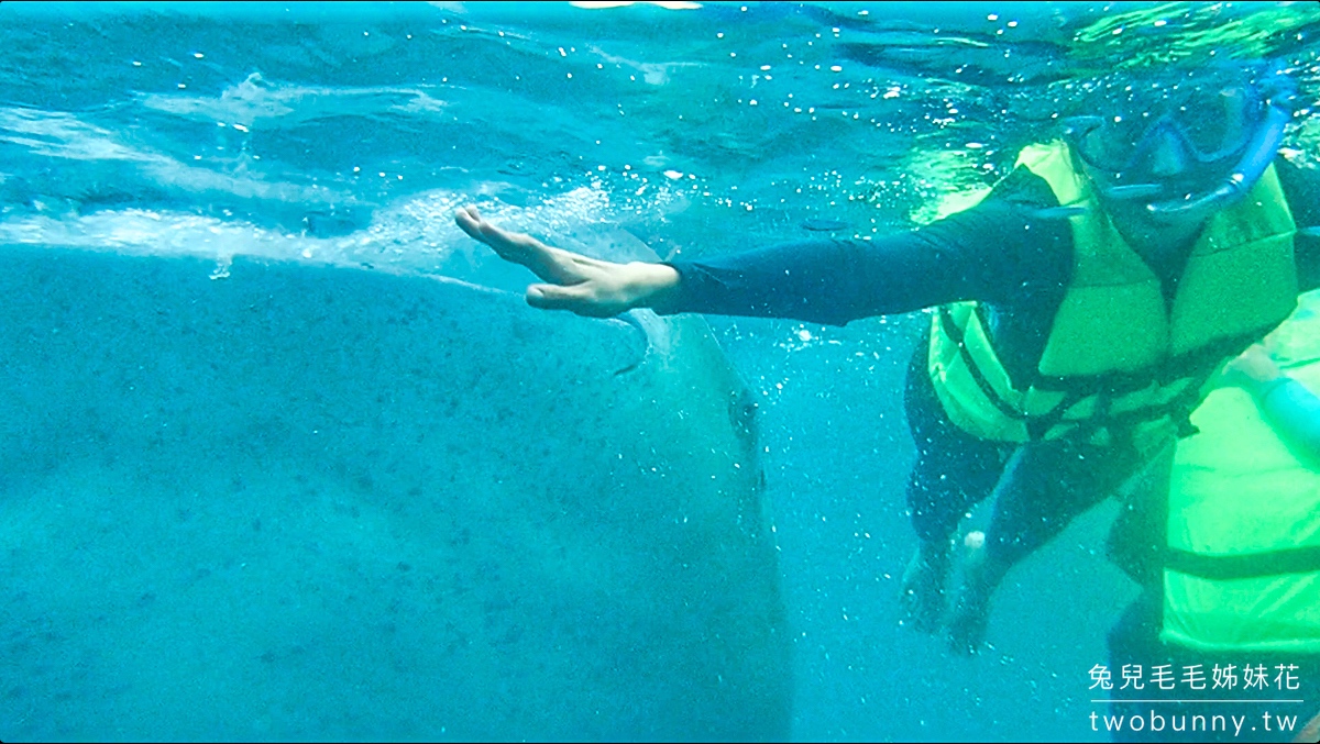 薄荷島景點》萊拉鯨鯊共游 LILA Taug Whaleshark Watching and Snorkeling~全新薄荷島鯨鯊村 @兔兒毛毛姊妹花