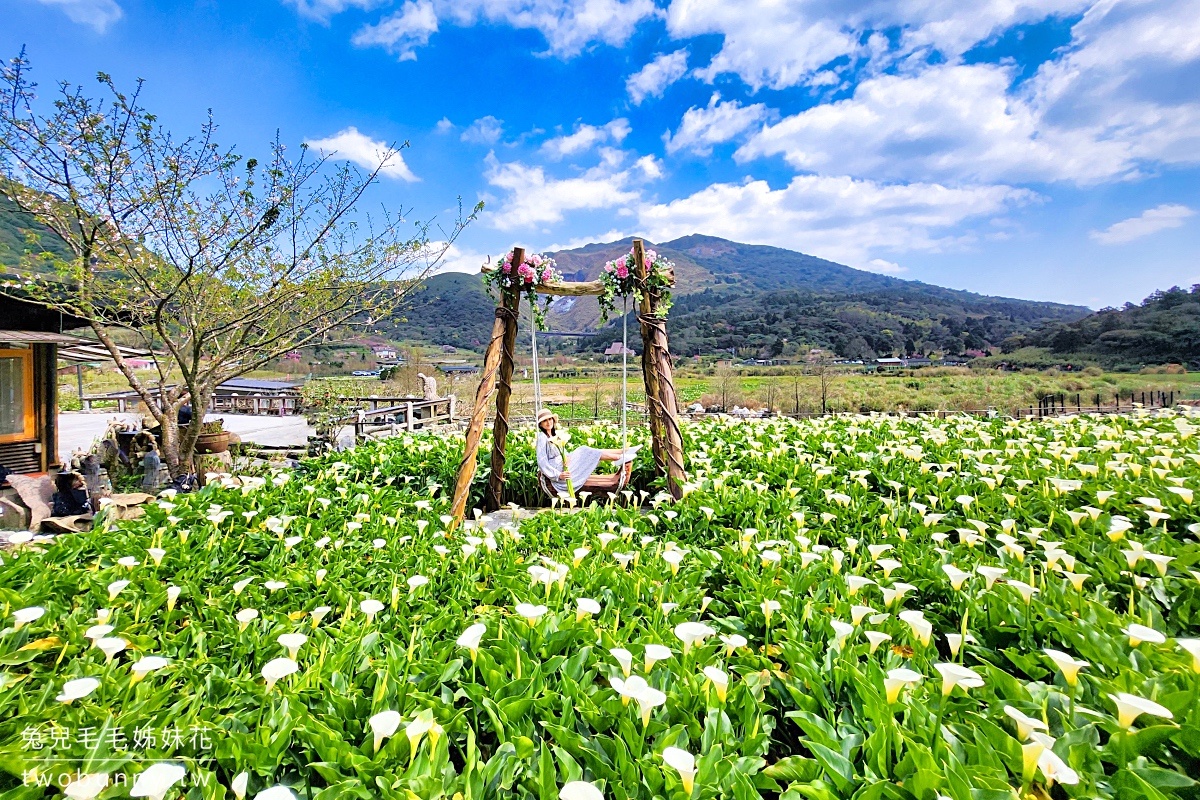 大台北溫泉懶人包|北投、陽明山、烏來、金山四大溫泉區一次看懂 (泉質比較+湯屋推薦) @兔兒毛毛姊妹花