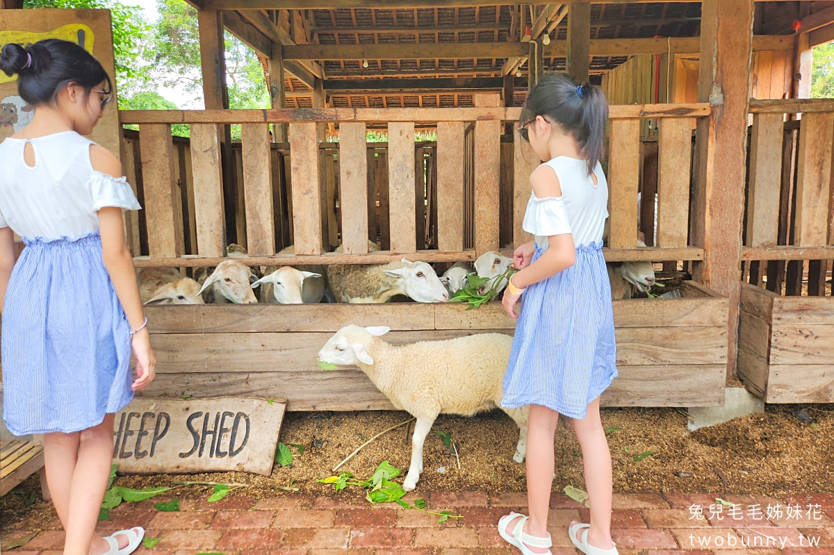薄荷島景點》南方農場 South Farm Panglao-Bohol～隱藏版大農場，一票到底餵動物、騎馬 @兔兒毛毛姊妹花