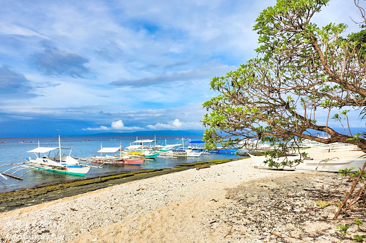薄荷島跳島》巴里卡薩大斷層 Balicasag Island～世界級珊瑚保護區，超夢浮潛勝地 @兔兒毛毛姊妹花