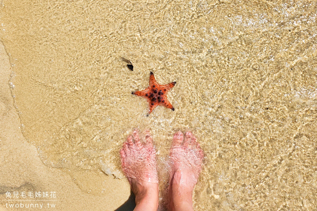 富國島景點》海星沙灘 Starfish Beach~放眼望去都是大紅海星的秘境沙灘｜誠旺旅行社 @兔兒毛毛姊妹花