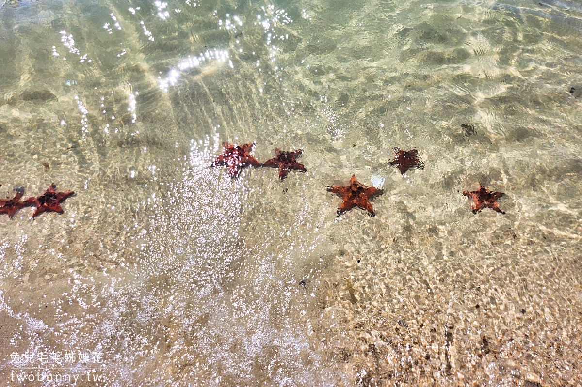 富國島景點》海星沙灘 Starfish Beach~放眼望去都是大紅海星的秘境沙灘 @兔兒毛毛姊妹花