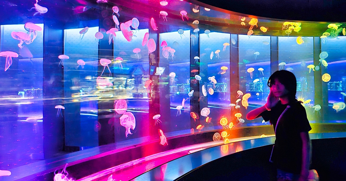 京都景點》京都水族館~巨大山椒魚太驚人!! 還有可愛企鵝、海豹、療癒水母牆 @兔兒毛毛姊妹花