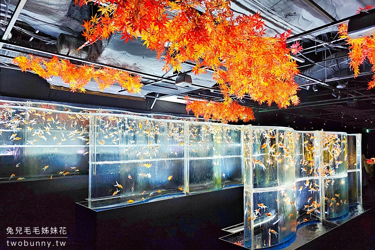 銀座藝術水族館 ART AQUARIUM MUSEUM｜東京最璀璨炫麗「銀座の金魚」神好拍 @兔兒毛毛姊妹花