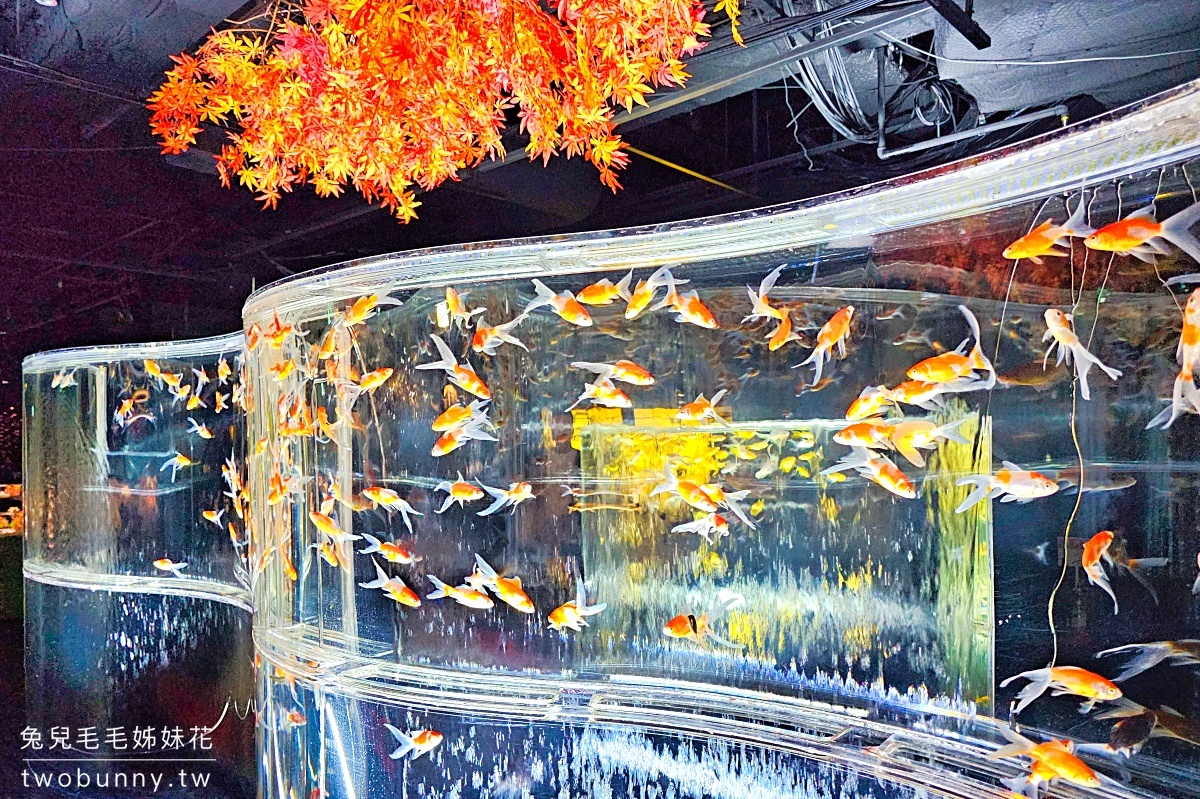 銀座藝術水族館 ART AQUARIUM MUSEUM｜東京最璀璨炫麗「銀座の金魚」神好拍 @兔兒毛毛姊妹花