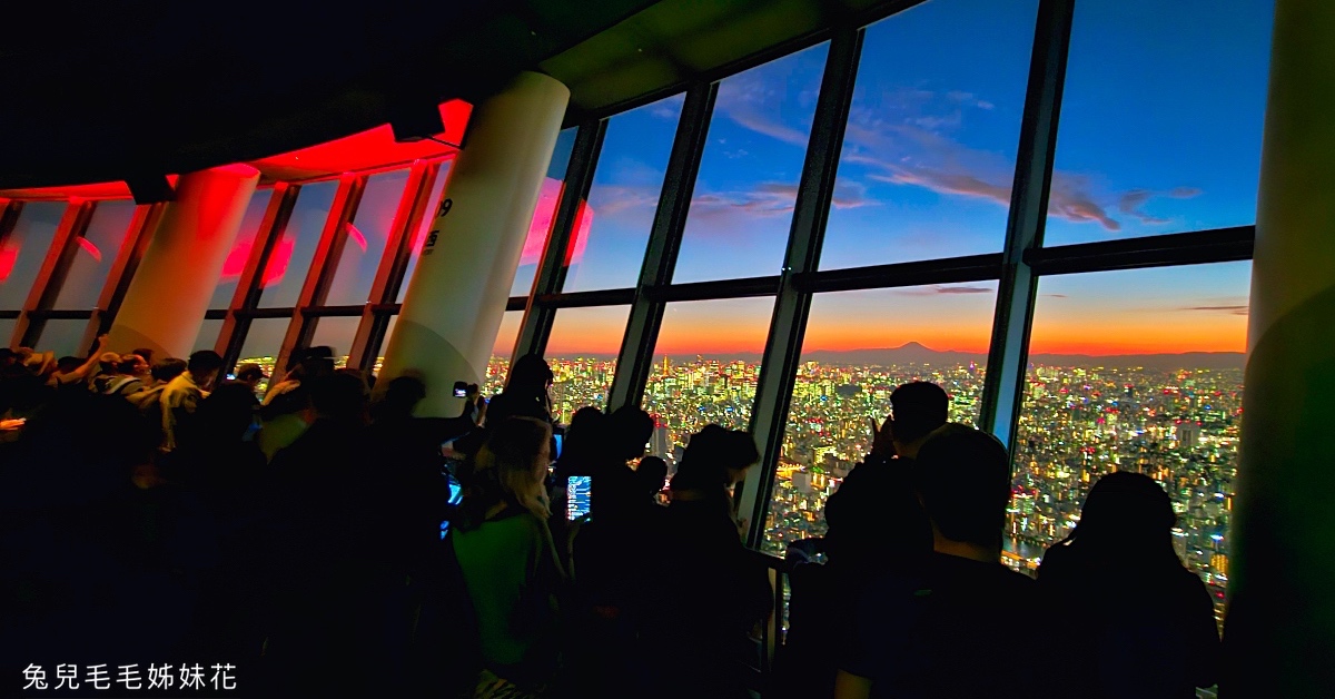 【晴空塔東武橋河津櫻】東京最夢幻早櫻拍攝點，二月櫻花＋Skytree同框經典畫面 @兔兒毛毛姊妹花