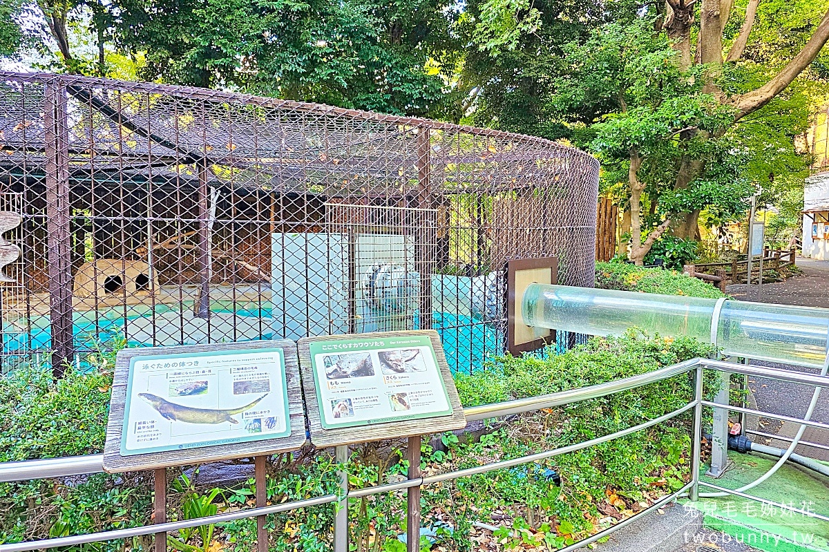 東京景點【上野動物園】日本最古老動物園藏在上野恩賜公園，必看北極熊、鯨頭鸛 @兔兒毛毛姊妹花