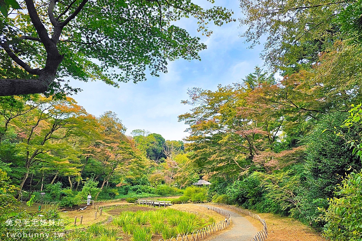 東京景點【明治神宮】參訪地圖、必拍重點攻略～大鳥居、百年森林，還有特色御守 @兔兒毛毛姊妹花