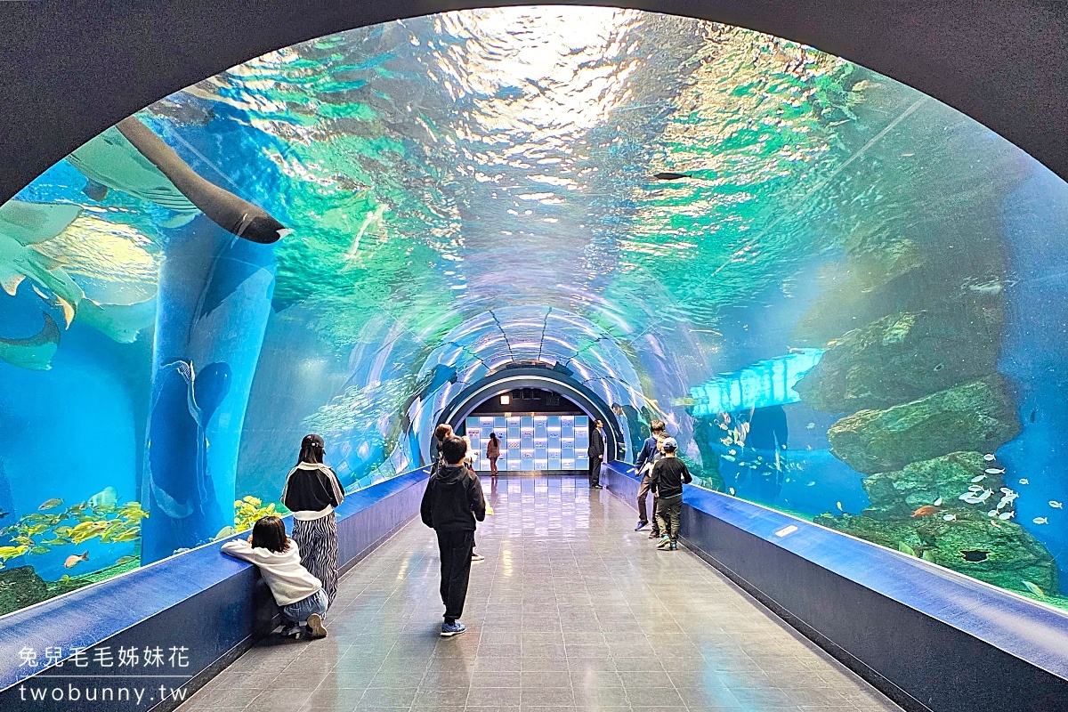東京景點》Maxell Aqua Park 品川水族館～暢遊海底隧道、欣賞最華麗的聲光海豚秀 @兔兒毛毛姊妹花