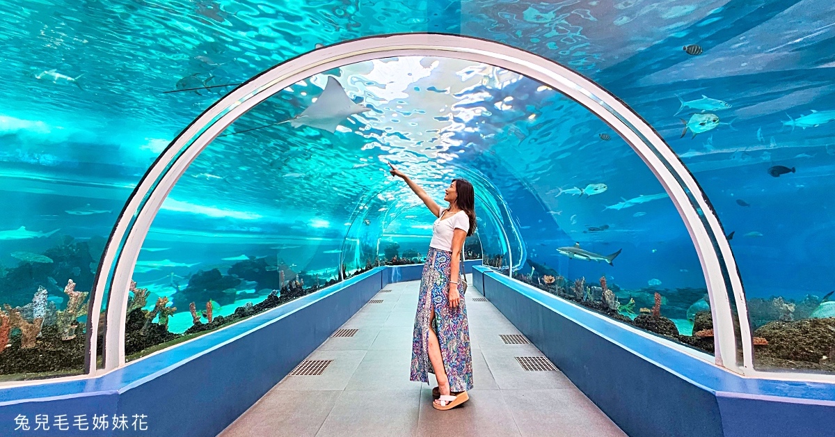 宿霧景點【宿霧海洋公園 Cebu Ocean Park】不只有夢幻海底隧道，還有鳥兒互動體驗 @兔兒毛毛姊妹花