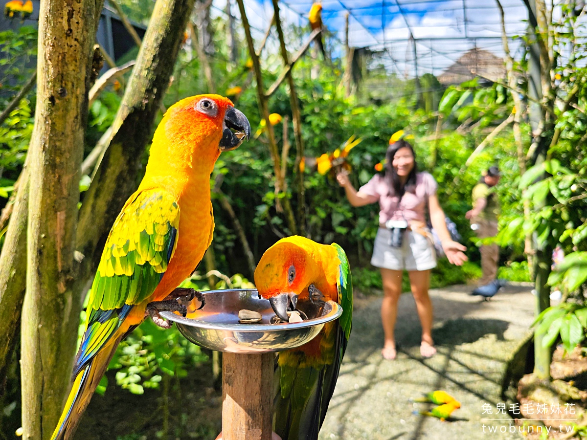 宿霧景點【宿霧野生動物園】Cebu Safari and Adventure Park～菲律賓最大最好玩動物園 @兔兒毛毛姊妹花