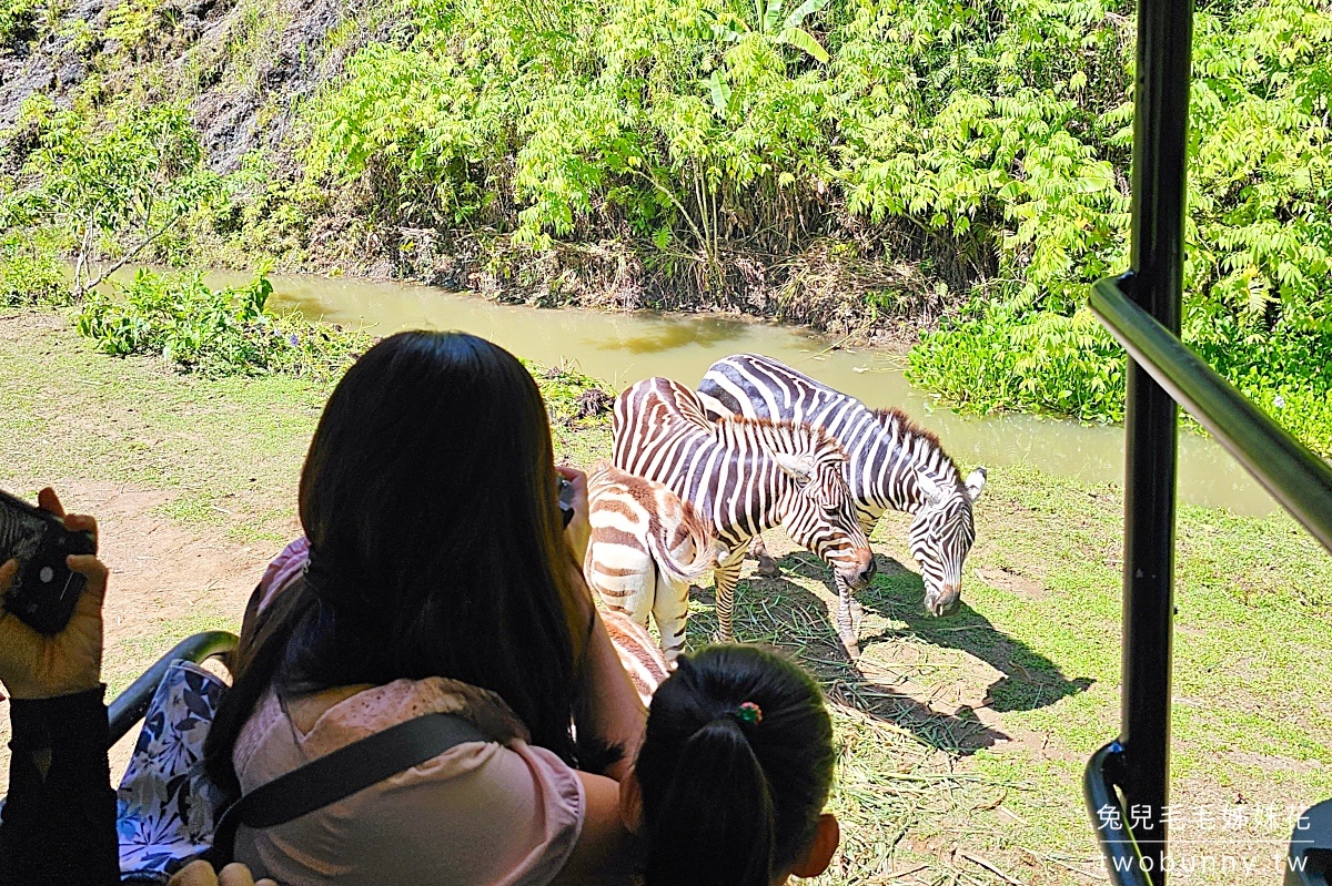 宿霧景點【宿霧野生動物園】Cebu Safari and Adventure Park～菲律賓最大最好玩動物園 @兔兒毛毛姊妹花