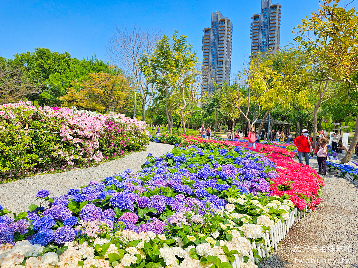 2024大安森林公園繡球花季｜捷運就能到的台北免費花海，森林之王遊戲區遛小孩 @兔兒毛毛姊妹花