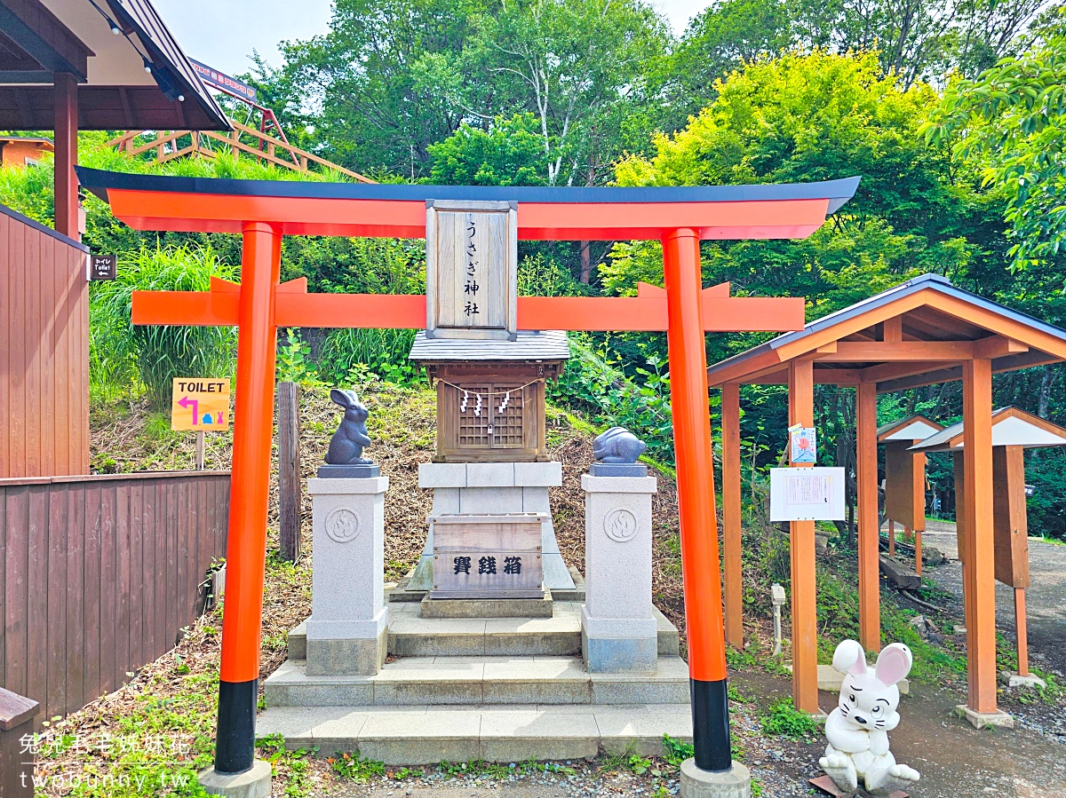 河口湖景點推薦｜天上山公園：搭纜車俯瞰富士山，鞦韆打卡點＋烤糰子美食一次攻略 @兔兒毛毛姊妹花