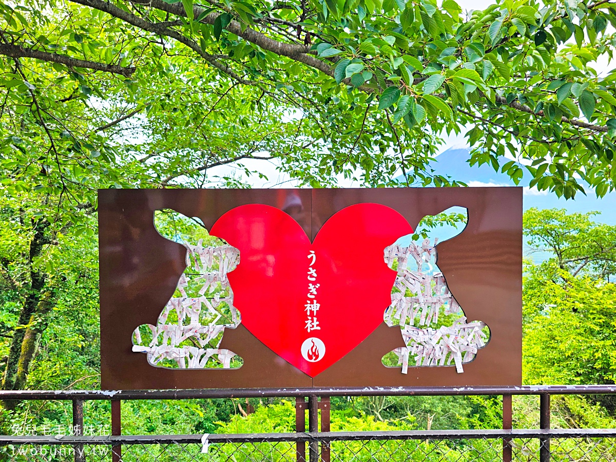 河口湖景點推薦｜天上山公園：搭纜車俯瞰富士山，鞦韆打卡點＋烤糰子美食一次攻略 @兔兒毛毛姊妹花