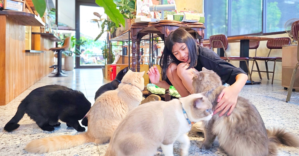 宜蘭礁溪貓咪咖啡廳「萬記商行」好拍網美風空間、超萌動物造型甜點，餐點精緻又美味 @兔兒毛毛姊妹花
