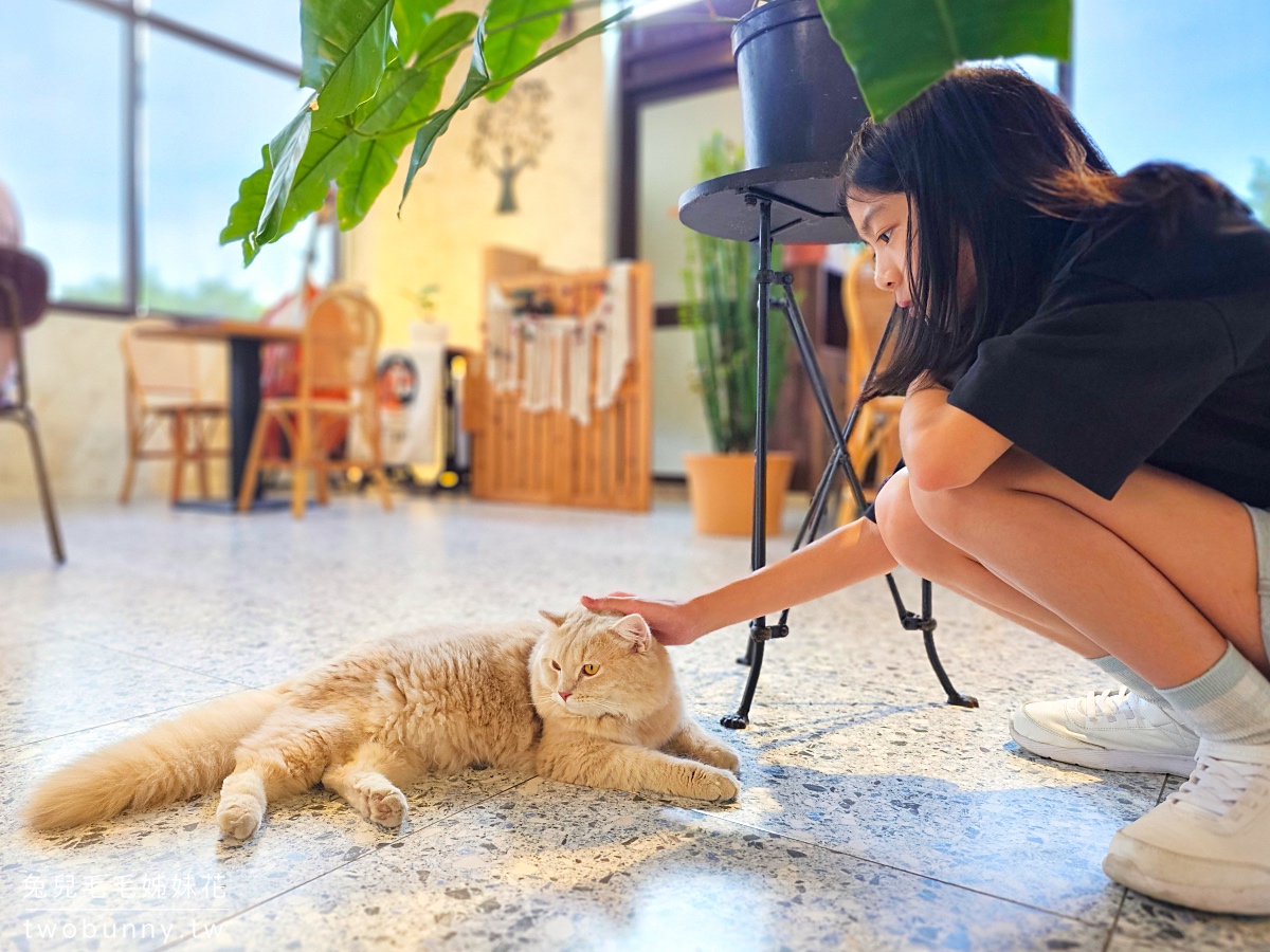 宜蘭礁溪貓咪咖啡廳「萬記商行」好拍網美風空間、超萌動物造型甜點，餐點精緻又美味 @兔兒毛毛姊妹花