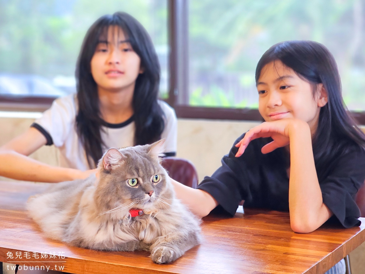 宜蘭礁溪貓咪咖啡廳「萬記商行」好拍網美風空間、超萌動物造型甜點，餐點精緻又美味 @兔兒毛毛姊妹花