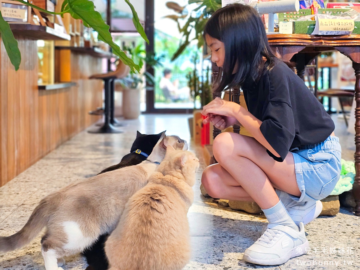 宜蘭礁溪貓咪咖啡廳「萬記商行」好拍網美風空間、超萌動物造型甜點，餐點精緻又美味 @兔兒毛毛姊妹花