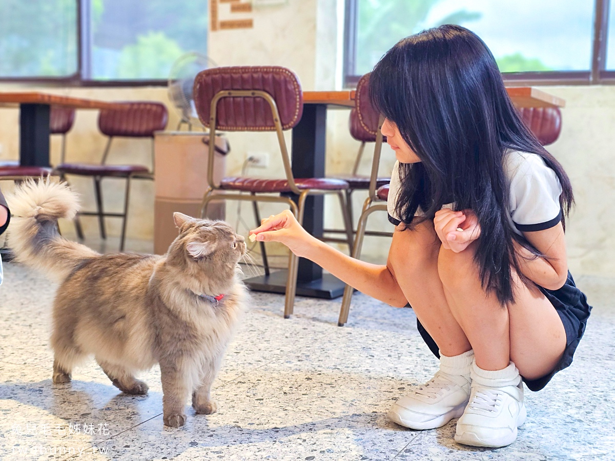 宜蘭礁溪貓咪咖啡廳「萬記商行」好拍網美風空間、超萌動物造型甜點，餐點精緻又美味 @兔兒毛毛姊妹花
