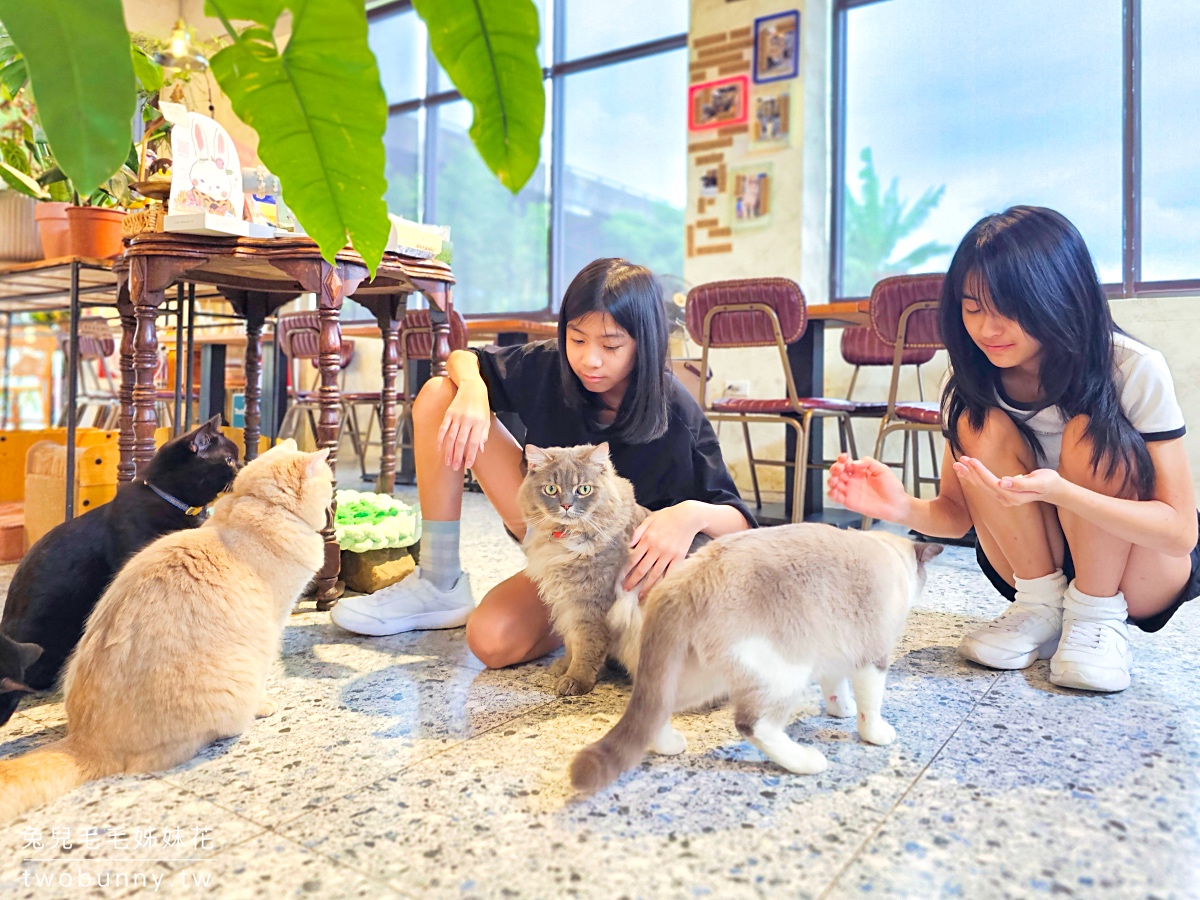 宜蘭礁溪貓咪咖啡廳「萬記商行」好拍網美風空間、超萌動物造型甜點，餐點精緻又美味 @兔兒毛毛姊妹花