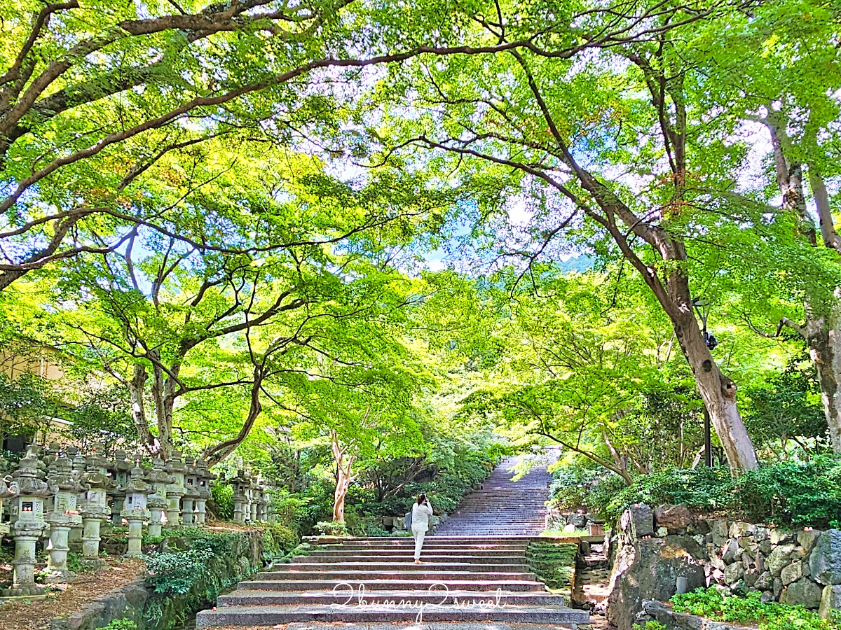 大阪景點「勝尾寺」可愛好拍達摩不倒翁，秋天賞楓、祈求勝運必訪｜門票、交通攻略 @兔兒毛毛姊妹花