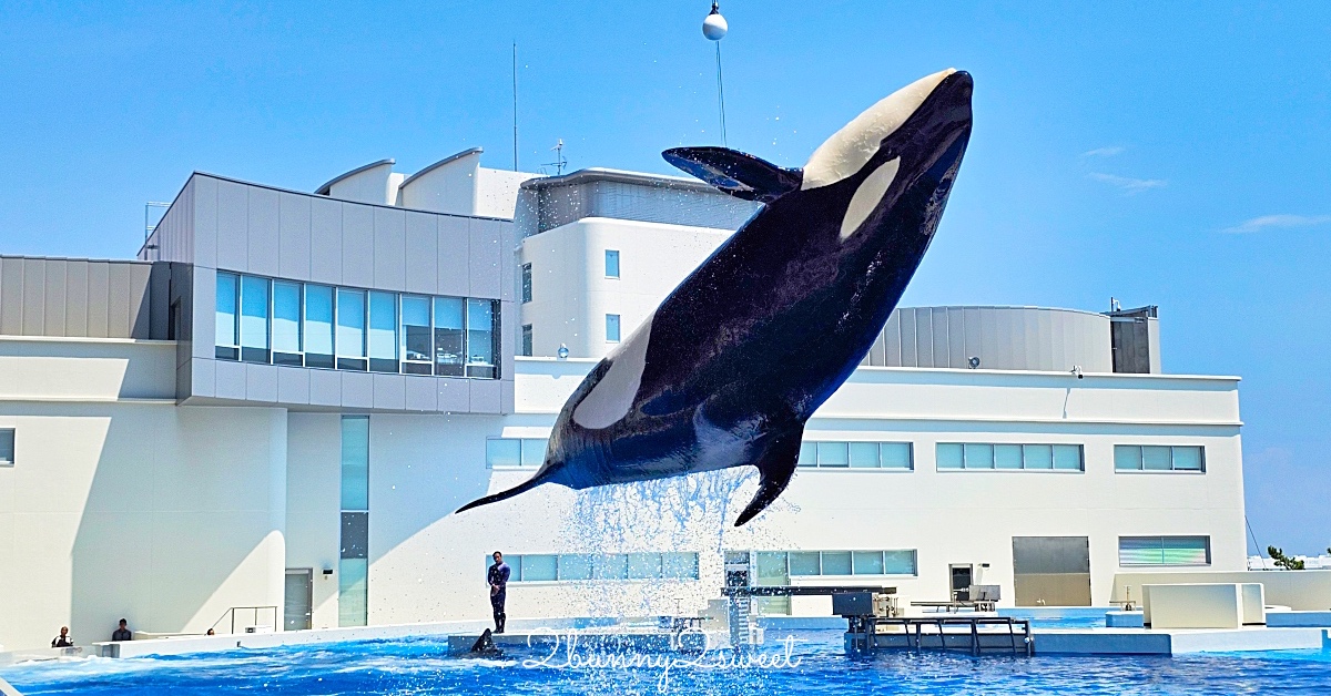 東京水族館｜五間東京必訪水族館門票、交通、特色大評比 &#038; 玩樂攻略 @兔兒毛毛姊妹花