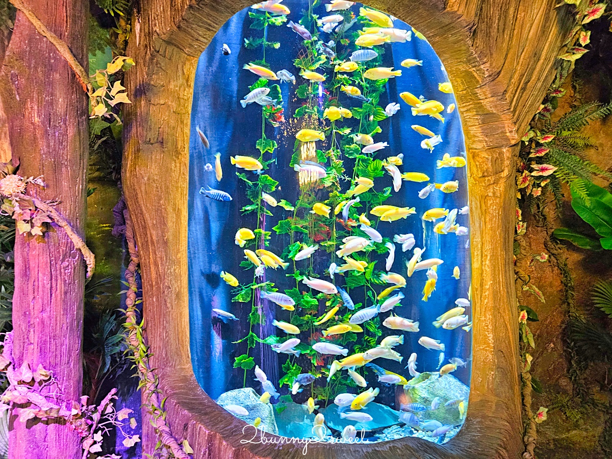 河內樂天世界水族館 Lotte World Aquarium Hanoi｜北越最新親子景點，吹冷氣探索海底世界 @兔兒毛毛姊妹花