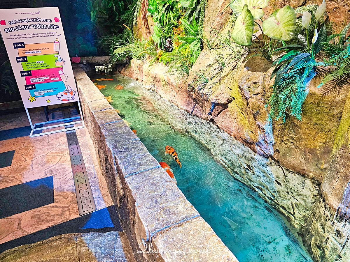 河內樂天世界水族館 Lotte World Aquarium Hanoi｜北越最新親子景點，吹冷氣探索海底世界 @兔兒毛毛姊妹花