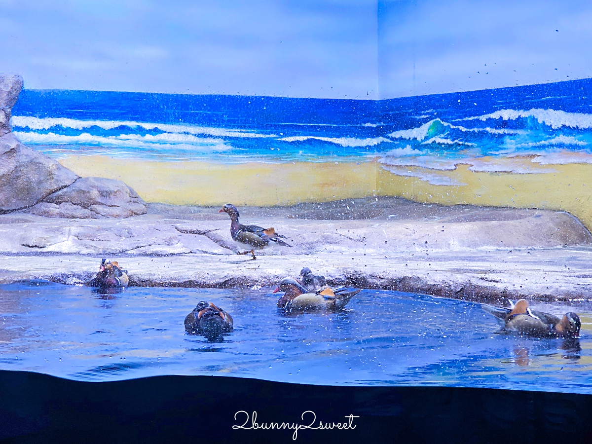 河內樂天世界水族館 Lotte World Aquarium Hanoi｜北越最新親子景點，吹冷氣探索海底世界 @兔兒毛毛姊妹花