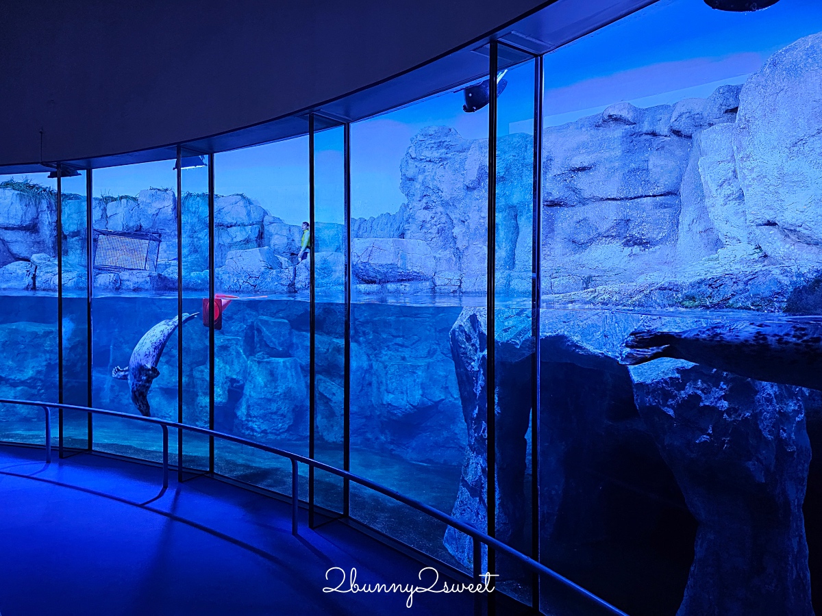 橫濱景點「橫濱八景島海島樂園」四座水族館＋16項遊樂設施～整座島就是一個海洋樂園 @兔兒毛毛姊妹花