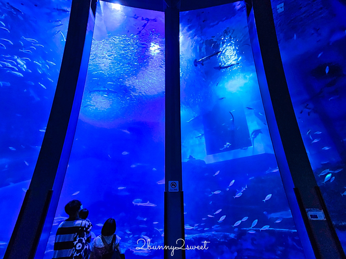 橫濱景點「橫濱八景島海島樂園」四座水族館＋16項遊樂設施～整座島就是一個海洋樂園 @兔兒毛毛姊妹花