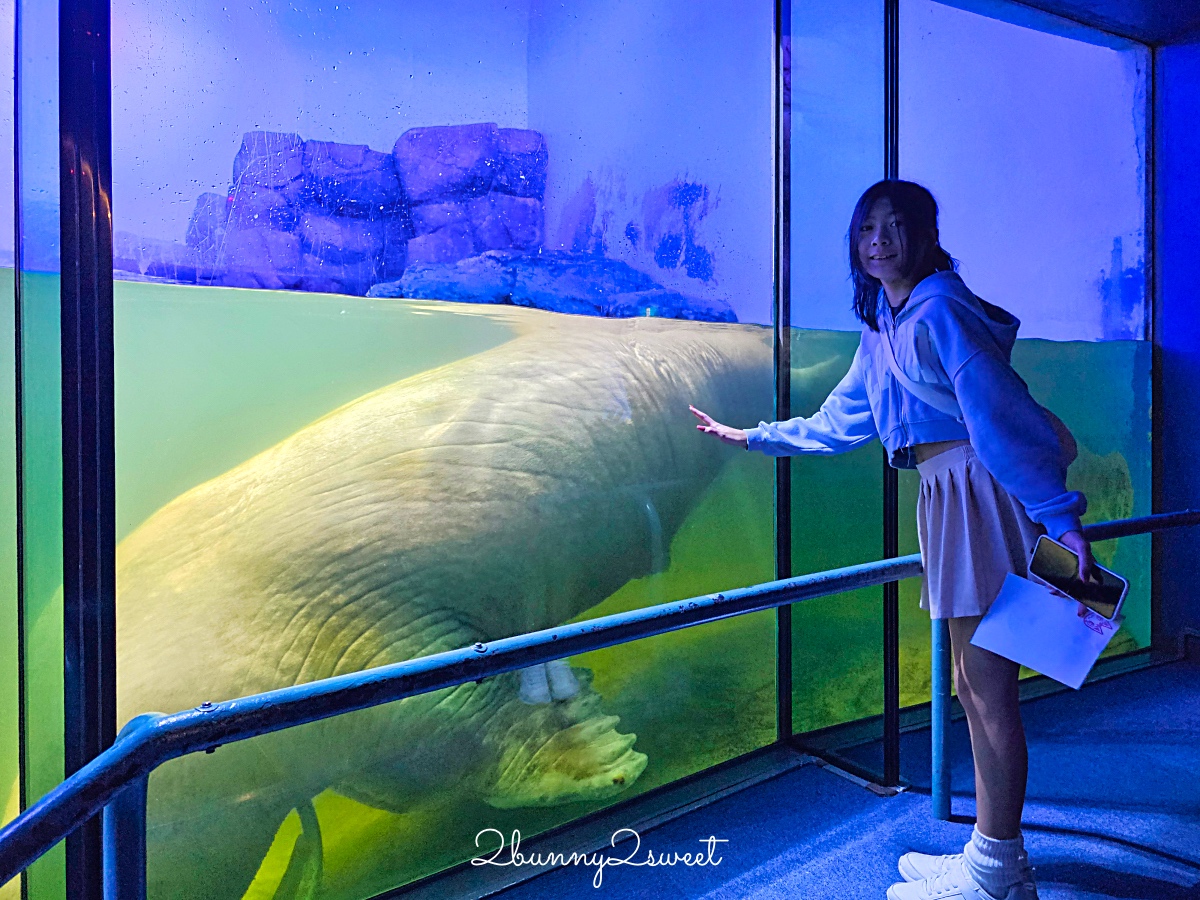 橫濱景點「橫濱八景島海島樂園」四座水族館＋16項遊樂設施～整座島就是一個海洋樂園 @兔兒毛毛姊妹花
