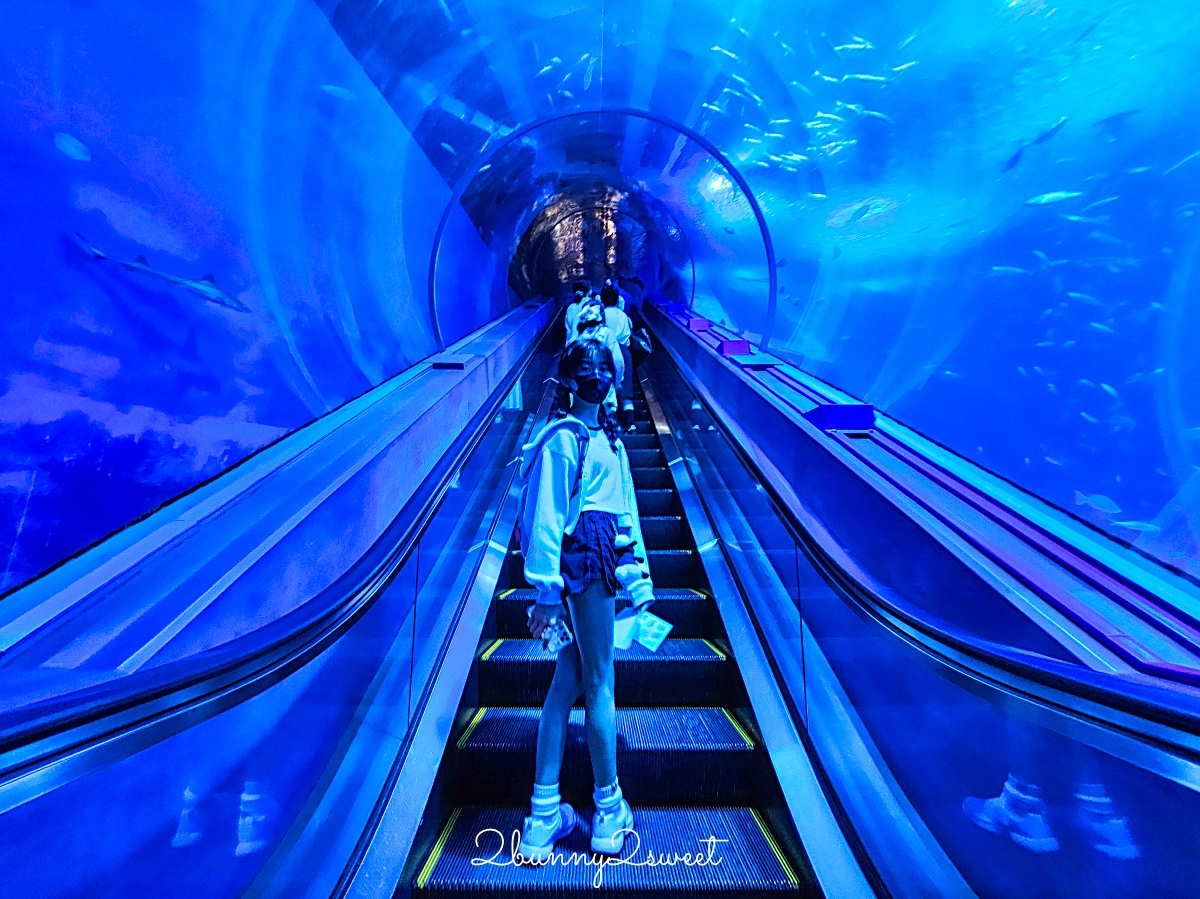 橫濱景點「橫濱八景島海島樂園」四座水族館＋16項遊樂設施～整座島就是一個海洋樂園 @兔兒毛毛姊妹花