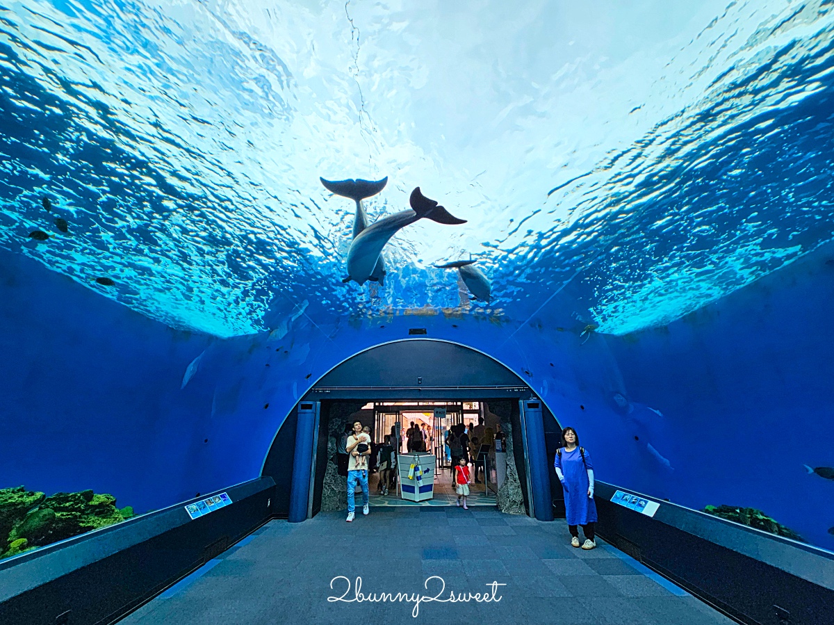 橫濱景點「橫濱八景島海島樂園」四座水族館＋16項遊樂設施～整座島就是一個海洋樂園 @兔兒毛毛姊妹花