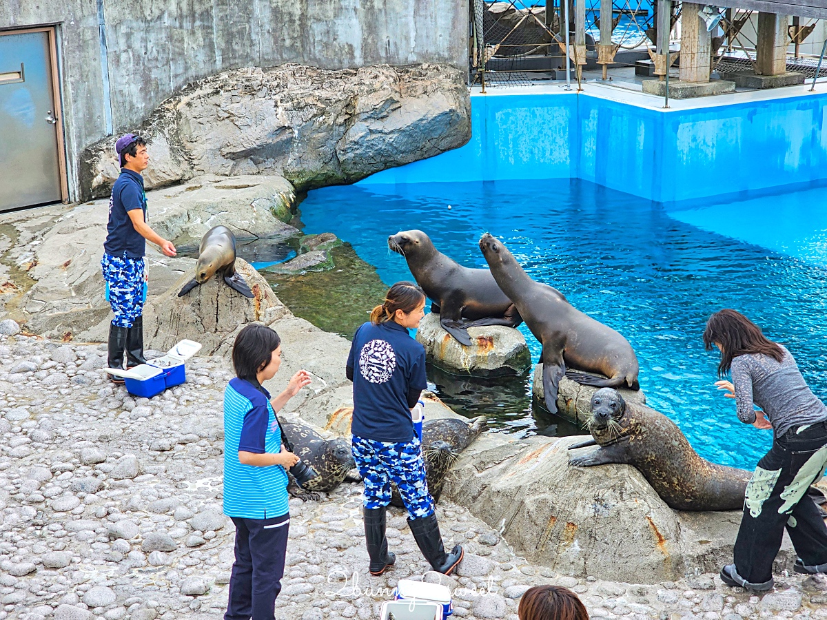 橫濱景點「橫濱八景島海島樂園」四座水族館＋16項遊樂設施～整座島就是一個海洋樂園 @兔兒毛毛姊妹花
